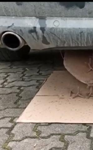 [VIDEO] Przemytnicy się zbroją. Audi z systemem anty pościgowym i towar za 324 tyś w rękach SG